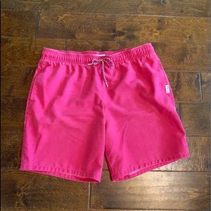 Hollister Swim Shorts, XL